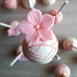 Cakepops fleurs + rayures