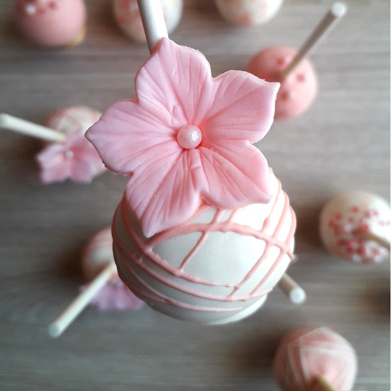 Cakepops fleurs + rayures
