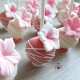 Cakepops fleurs + rayures